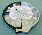THE BRAIN CLOCK