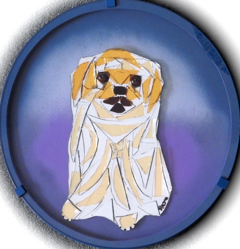 timmy tibetan spaniel glass collage