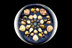 SALTDEAN SHORE SHELLS: 18” CIRCLE £150